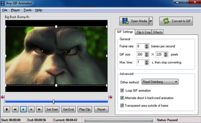 Software Any GIF Animator (TechAdvisor)